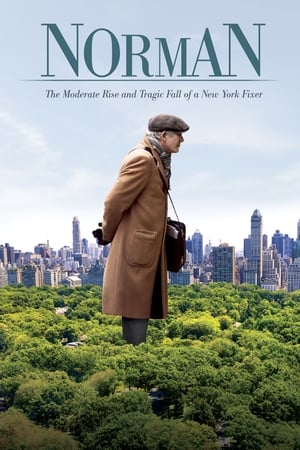 Norman: The Moderate Rise and Tragic Fall of a New York Fixer 2016 BRRip