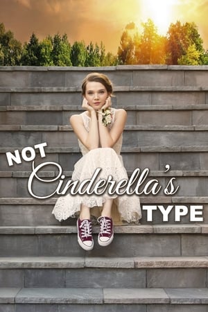 Not Cinderella's Type 2018 BRRIp