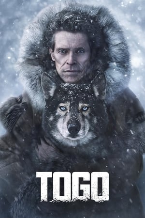 Togo 2019 BRRip