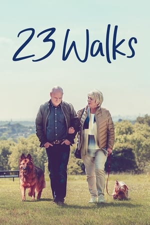 23 Walks 2020 BRRip