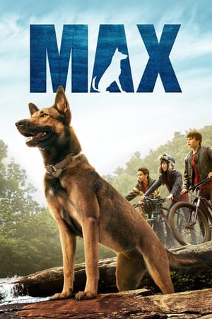 Max 2015 BRRIp