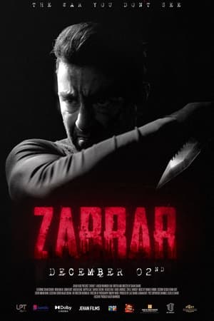 Zarrar (2022) Urdu Pre-DVDRIp