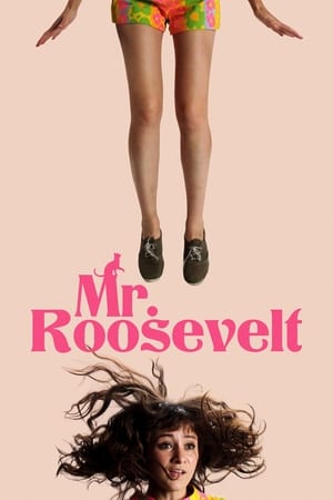 Mr. Roosevelt 2017 BRRip