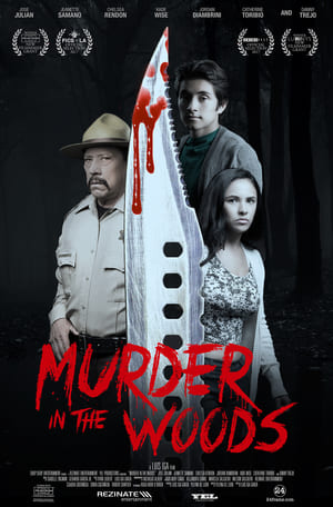 Murder In The Woods 2017 BRRip