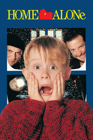 Home Alone 1 1990 Dual Audio