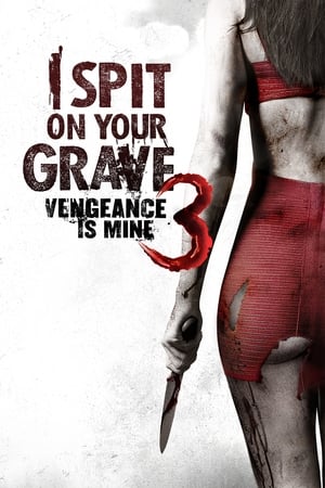 I Spit on Your Grave III: Vengeance is Mine 2015 BRRIp