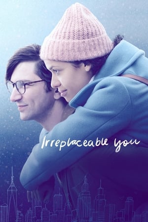 Irreplaceable You 2011 BRRIp