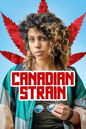 Canadian Strain 2019 BRRIp