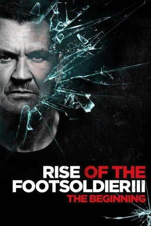 Rise of the Footsoldier 3 2017 BRRip