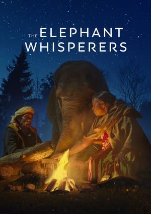 The Elephant Whisperers 2022 NF Dual Audio Hindi