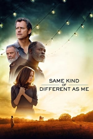 Same Kind of Different as Me 2017 BRRip