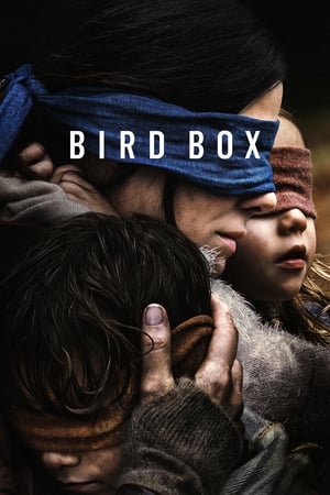 Bird Box 2018 Dual Audio