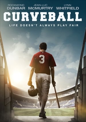 Curveball 2015 BRRip