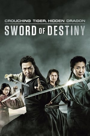 Crouching Tiger, Hidden Dragon: Sword of Destiny 2016 BRRip