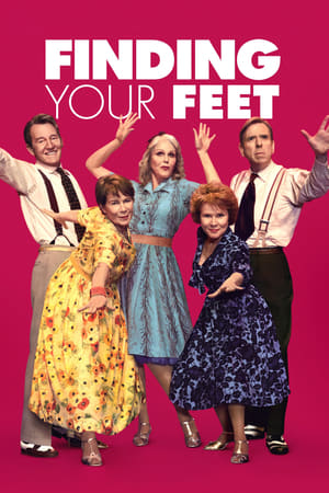 Finding Your Feet 2017 BRRip
