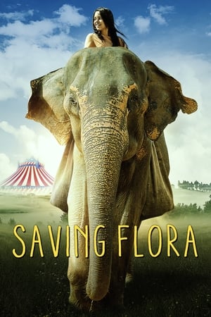 Saving Flora 2018 BRRip