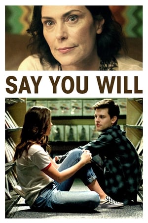 Say You Will 2017 BRRip