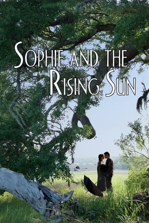 Sophie and the Rising Sun 2016 BRRip