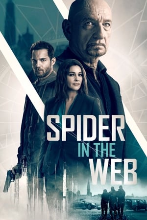 Spider in the Web 2019 BRRip