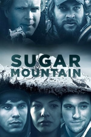 Sugar Mountain 2016 BRRip