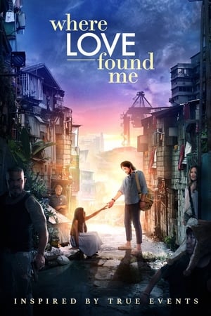 Where Love Found Me 2016 BRRip