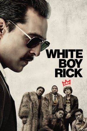 White Boy Rick 2018 BRRIp