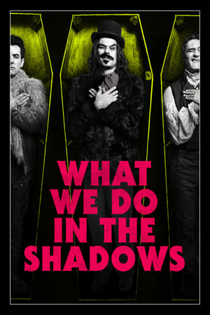 What We Do in the Shadows 2014 BRRip