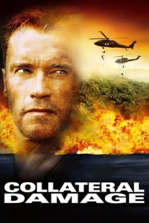 Collateral Damage 2002 Dual Audio
