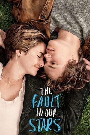 The Fault in Our Stars 2014 BRRip