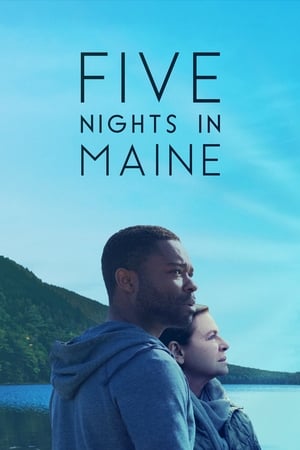 Five Nights in Maine 2015 BRRip