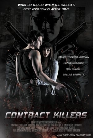 Contract Killers 2014 Dual Audio