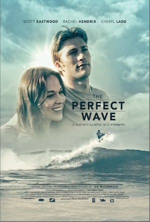 The Perfect Wave 2014 BRRip