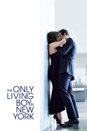 The Only Living Boy in New York 2017 BRRip