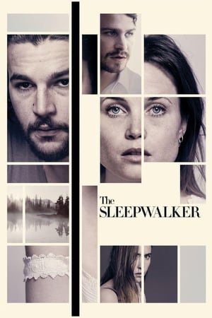 The Sleepwalker 2014 BRRip