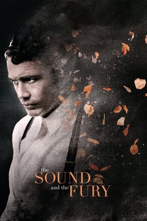 The Sound and the Fury 2014 BRRip