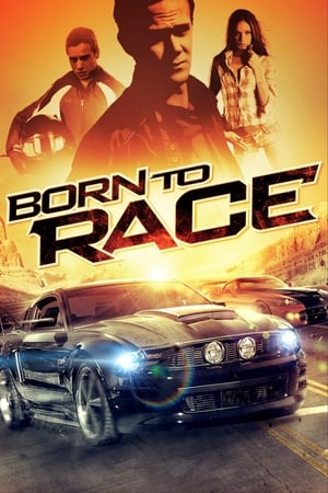 Born to Race 2011 Dual Audio