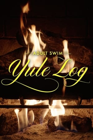 Adult Swim Yule Log (aka The Fireplace) 2022 BRRip