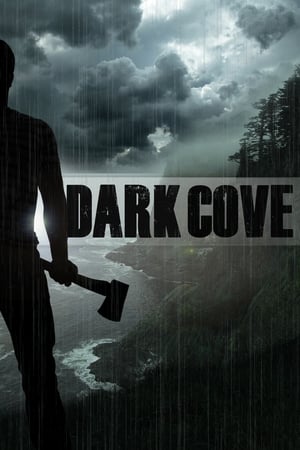 Dark Cove 2016 BRRip