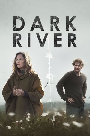 Dark River 2017 BRRip