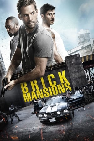 Brick Mansions 2014 Dual Audio