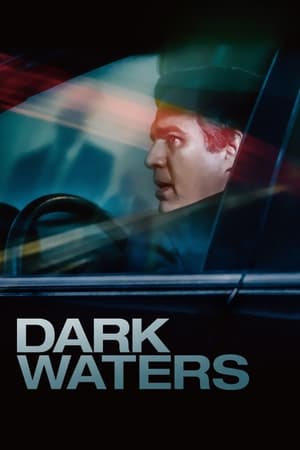 Dark Waters 2019 BRRip