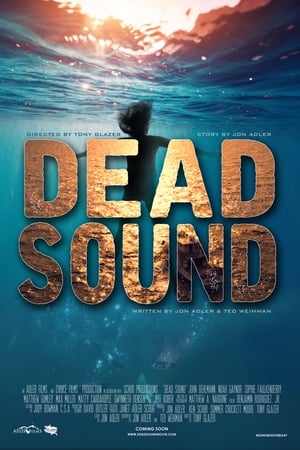 Dead Sound 2018 BRRip