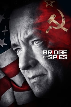 Bridge of Spies 2015 Dual Audio