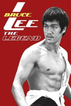 Bruce Lee: The Legend 1984 Dual Audio