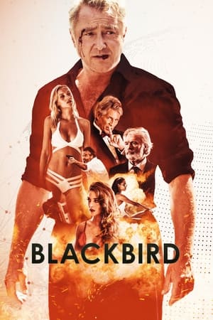 Blackbird 2022 BRRip