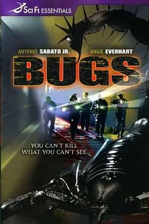 Bugs 2003 Dual Audio