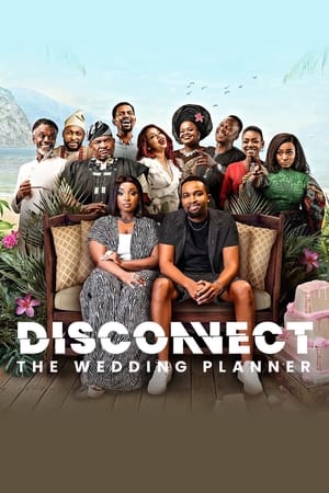 Disconnect: The Wedding Planner 2023 BRRip