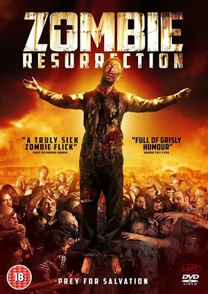 Zombie Resurrection 2014 BRRip