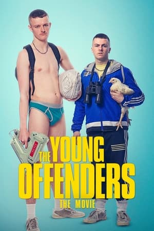 The Young Offenders 2016 BRRip