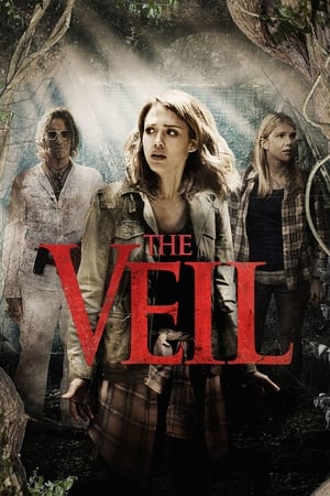 The Veil 2016 BRRip